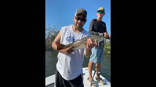 NORTH CAPTIVA ISLAND…… “multiple species”florida redfish ocean island ￼ [upl. by Oinotnaocram185]