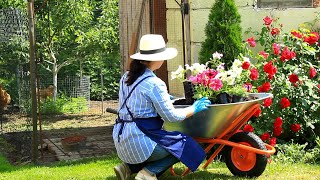 Rainy June day Slow life in a cozy country house Baking and sewing Gardening in the forest [upl. by Yblocaj749]