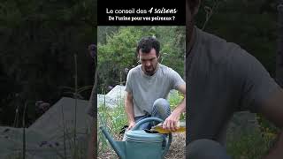 Petite astuce pour booster vos poireaux  Le conseil des 4 saisons potager jardin [upl. by Yerocal]