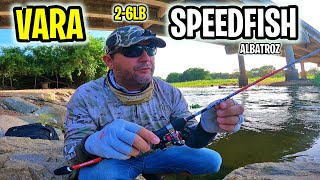 ✅Pescaria ULTRA LIGHT usando VARA SPEEDFISH da ALBATROZ 26LBS [upl. by Hyacinth]