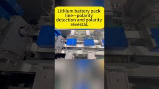 Lithium battery pack line—polarity detection and polarity reversal [upl. by Matthus]