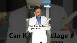 Can cartilage grow back naturally drpankajwalecha ashortaday kneepain [upl. by Kaczer]