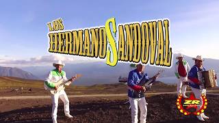 Los Hermanos Sandoval  La Vieja Fea Oficial Video [upl. by Girvin]