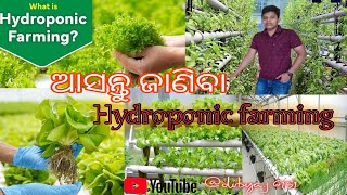 Hydrophonic Farming in OdishaHow to Cultivate vegetables in without soil Organic Farmingviral [upl. by Ros740]