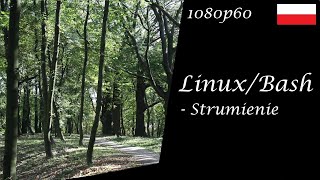 LinuxBash Przekierowywanie strumieni strumienie procesu stdin stdout stderr [upl. by Meakem701]