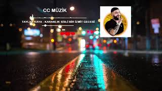 Taylan Kaya  Karanlık Sisli Bir İzmit Gecesi Slowed  Reverb Lyrics [upl. by Dianne]