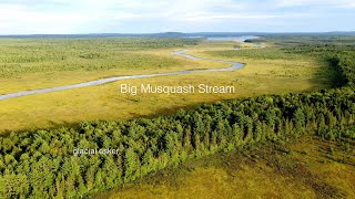 Big Musquash Stream 92121 [upl. by Bland]