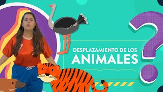 Desplazamiento de los animales [upl. by Euqinna]