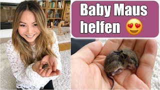 Eine Baby Maus in unserem Haus 😳 Reaktion der Kinder  Retten Füttern Aufziehen  VLOG  Mamiseelen [upl. by Balf]