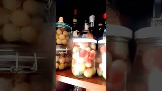 Le conserve della nonna uva sotto spirito nonna conserve uva grape alcool [upl. by Tyrone111]