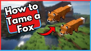 How to Tame a Fox in Minecraft [upl. by Pippa828]