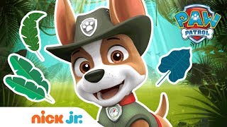 Extended Trailer FtTracker 🐾 NEW Full Episode on  PAW Patrol  Nick Jr [upl. by Nairad]