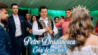 Petre Draganescu  Colaj de joc LIVE 🔴 [upl. by Gothard]