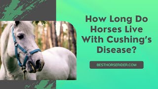 How Long Do Horses Live With Cushing’s Disease [upl. by Toolis]