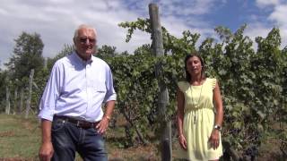 Harvest2015 at Marziano Abbona in Dogliani [upl. by Durer]