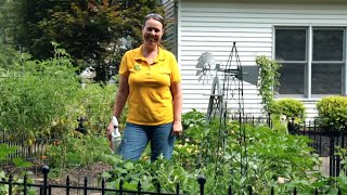 PETITTI How to Stop Insects From Eating Leaves In Your Vegetable Garden [upl. by Lari]