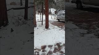 Snow in woodland park Colorado [upl. by Jasmina]