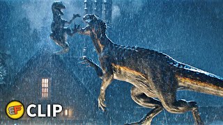 Blue vs Indoraptor  Final Battle Scene  Jurassic World Fallen Kingdom 2018 Movie Clip HD 4K [upl. by Lebiralc]