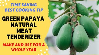 Best Natural Meat Tenderizer  How to make amp store Papaya Paste for a year  Secret Papaya Hack [upl. by Blockus]