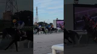 【ダービー馬主】無職の地方競馬【そして伝説へ】202410304 [upl. by Sinnelg]