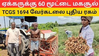 TCGS 1694 வேர்க்கடலை சாகுபடி முறை ஏக்கருக்கு 60 மூட்டை மகசூல் Peanut groundnut harvester kadiri1812 [upl. by Premer]