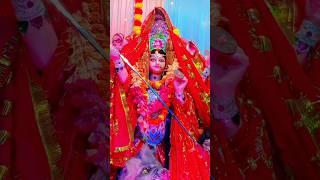 Jai Mata di 🙏shorts ashtami navratri2024 [upl. by Ahtanoj]