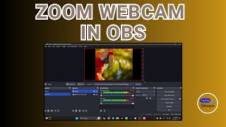 How to Zoom My Webcam in OBS [upl. by Eremaj991]