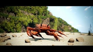 Танцующий краб вставка для видео монтажа crab rave [upl. by Trinette569]