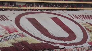 BANDERAZO IMPRESIONANTE EN EL MONUMENTAL universitariodeportes [upl. by Oker]