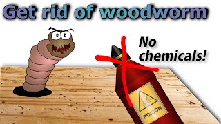 Get rid of woodworm for good no pesticides [upl. by Kissiah]