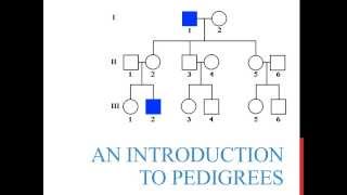 An introduction to genetics pedigrees [upl. by Niabi]