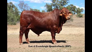 LOT 4 EVERSLEIGH QUARTERBACK HP [upl. by Briny]