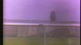 Secretariat Breeders Cup Segment 1996  A Look Back [upl. by Grochow421]