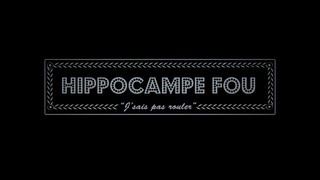 Hippocampe Fou  JSAIS PAS ROULER [upl. by Hovey]