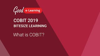 COBIT 2019 Bitesize Learning What is COBIT COBIT 2019 tutorial [upl. by Jacintha]