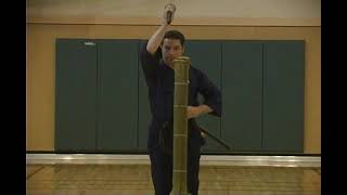 Sensei McCartney World Record Attempt  4 cuts 1 target [upl. by Ilak]