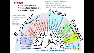 Evolução de Procariotas Procariontes amp Teoria Endossimbiótica [upl. by Reo]