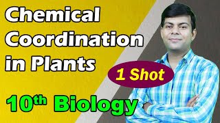 Chemical Coordination in Plants  Phytohormones amp Tropic Movements  Biology [upl. by Anialem]