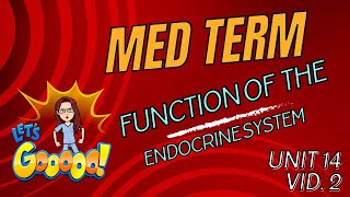 Endocrine System Functions Explained  Medical Terminology Unit 14  Hormones and Organs [upl. by Harrod13]