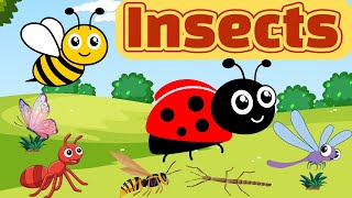 Insect names Insect vocabulary Insects Name in English Insects Pictures insects [upl. by Areik895]