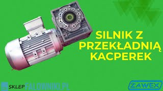 Silnik z przekładnią Kacperek wwwsklepfalownikipl [upl. by Auqined]