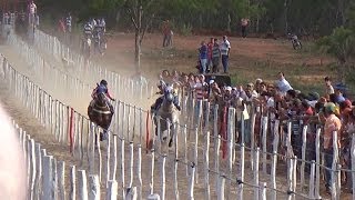 Corrida de Cavalos em Sumé DISPUTA ACIRRADA [upl. by Nodab]