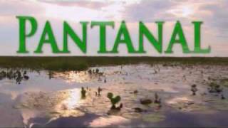 Programa Pantanal WWF Bolivia y Brasil [upl. by Nesto]