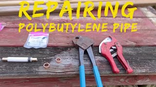 How to Repair Polybutylene Pipe  Pex to Poly  DIY [upl. by Jethro912]