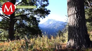 Parque Nacional La Malinche [upl. by Gilmour]