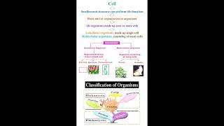 Fundamental of Cell Theory geneticteacher [upl. by Julia]