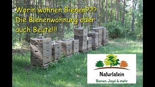 Imkern für Anfänger Teil 2 Bienenbeute Bienenwohnung Bee Hive [upl. by Okiman]