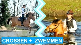 VLOG 19 Crosstraining Lammert Laseur  swimming  felinehoi [upl. by Alled552]