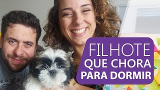 5 dicas simples p filhote parar de CHORAR p dormir feat MAURÍCIO MEIRELLES [upl. by Blunt]