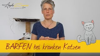 BARFen bei kranken Katzen 📌 [upl. by Brigida]